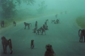 docu0014