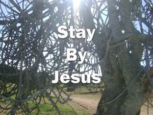 Stay By Jesus