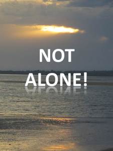 Not Alone!