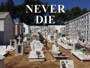 Never Die