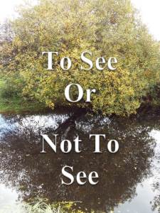 To See Or Not To See