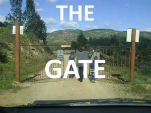 The Gate