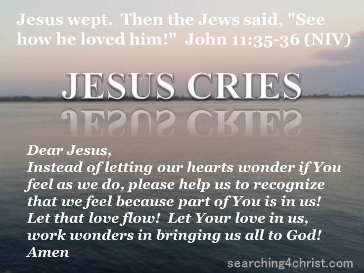 Jesus Cries