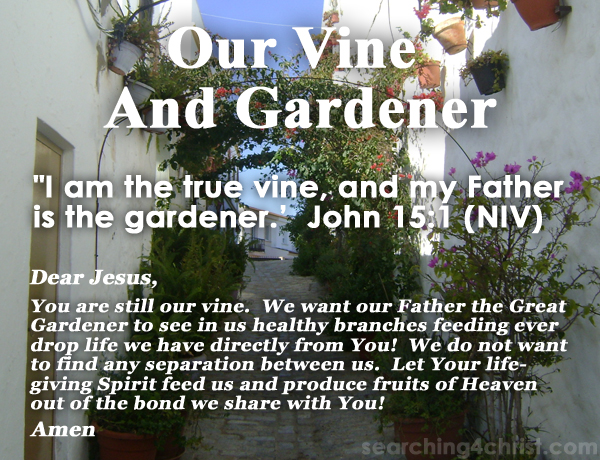 Our Vine And Gardener