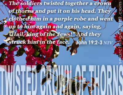 Twisted Crown Of Thorns