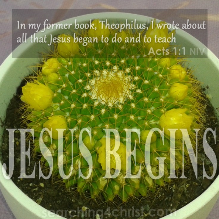 Jesus Begins