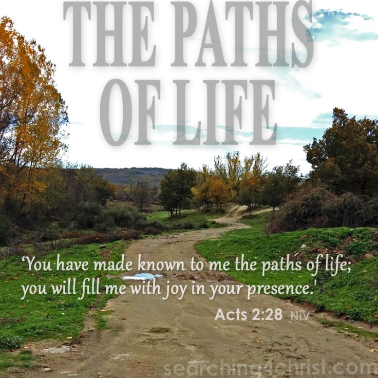 The Paths Of Life