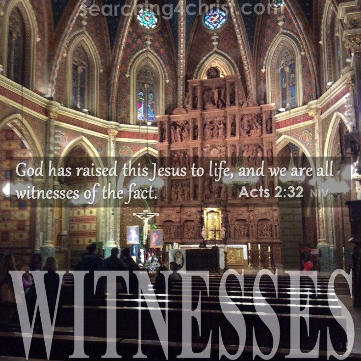 Witnesses