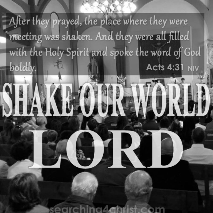 shake-our-world-lord