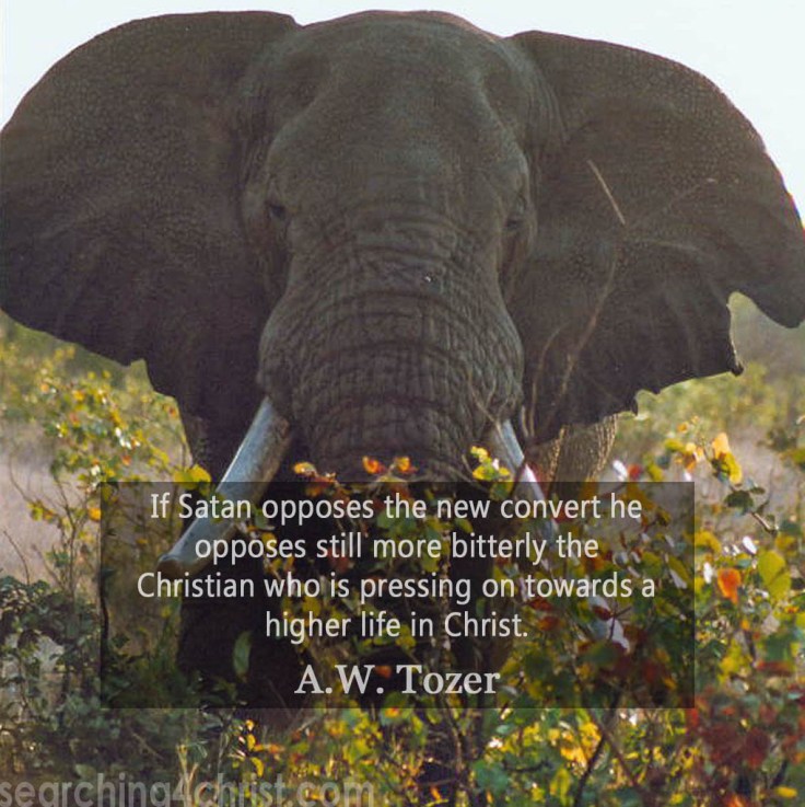 satan-opposes-higher-life