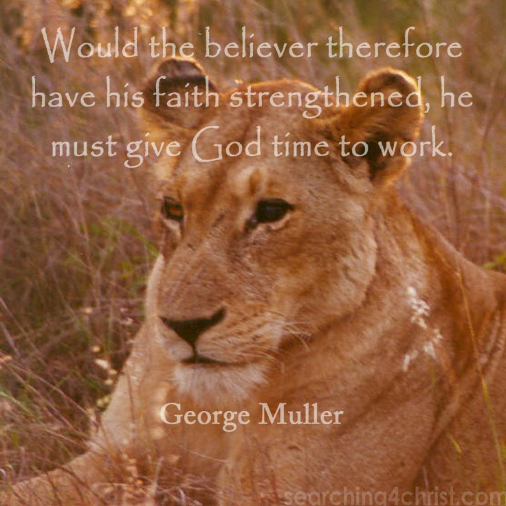 to-have-faith-strengthened