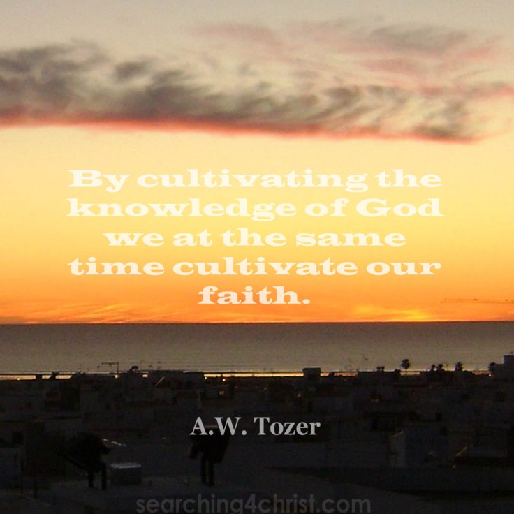by-cultivating-our-knowledge-of-God