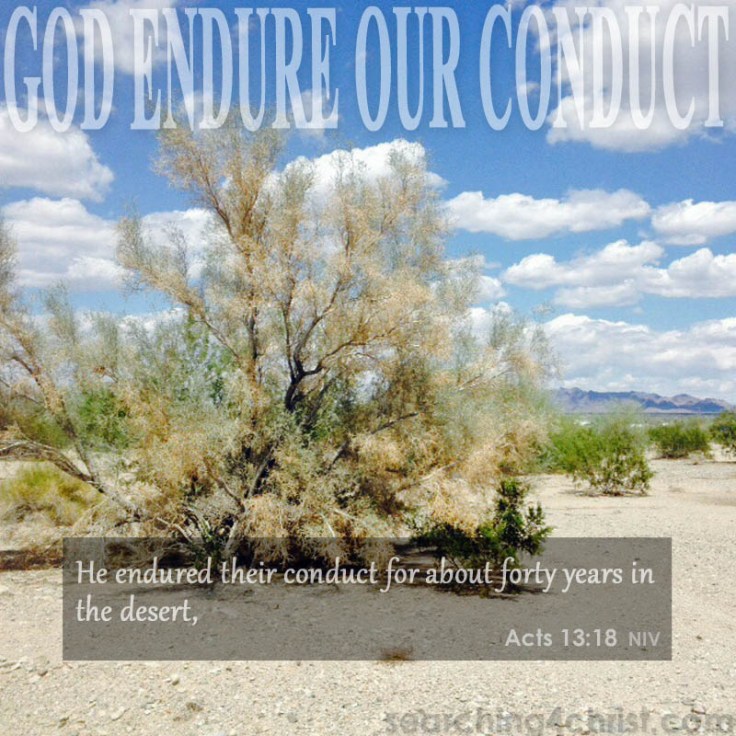 God-endure-our-conduct