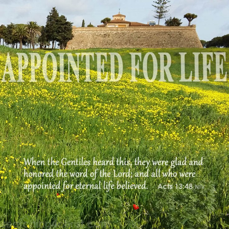 appointed-for-life