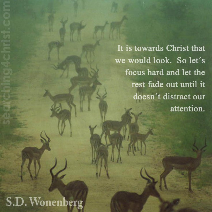 Towards-Christ-We-Look