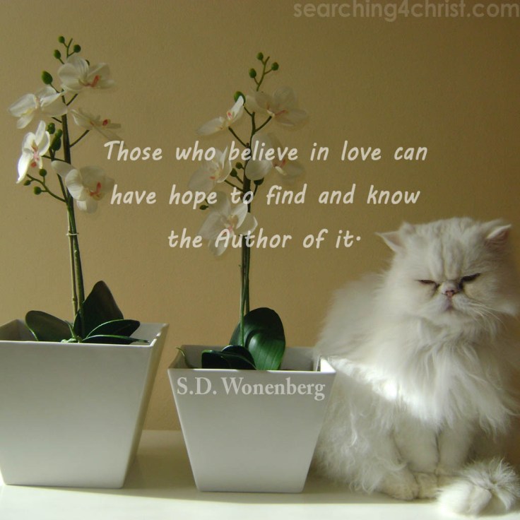 those-who-believe-in-love