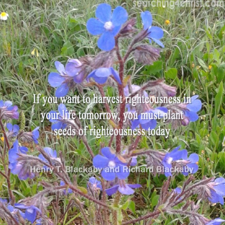 To Harvest Righteousness