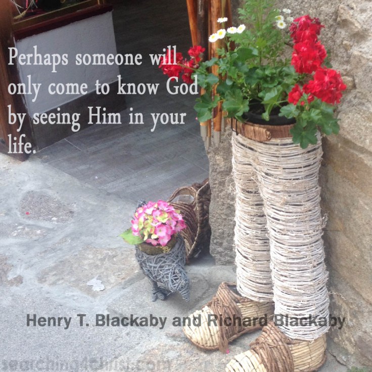 Perhaps Someone Will See