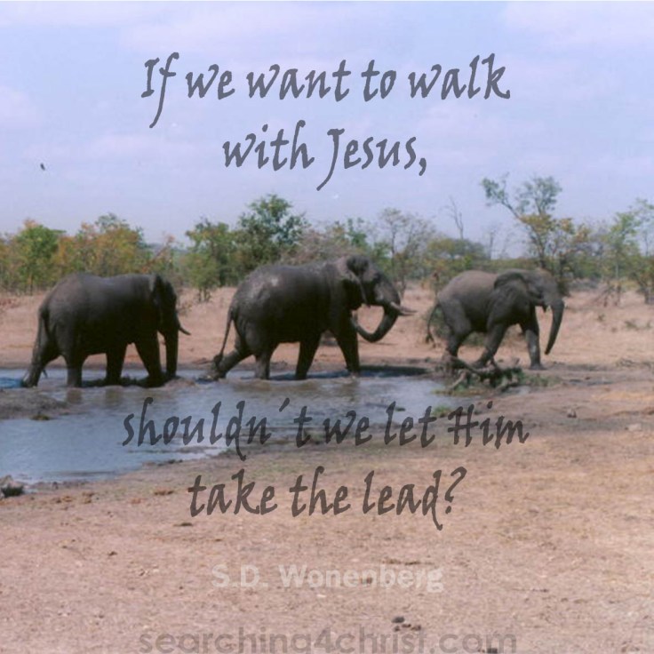 Want To Walk With Jesus
