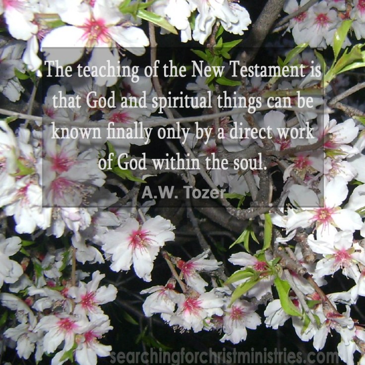 The Teaching Of The New Testament