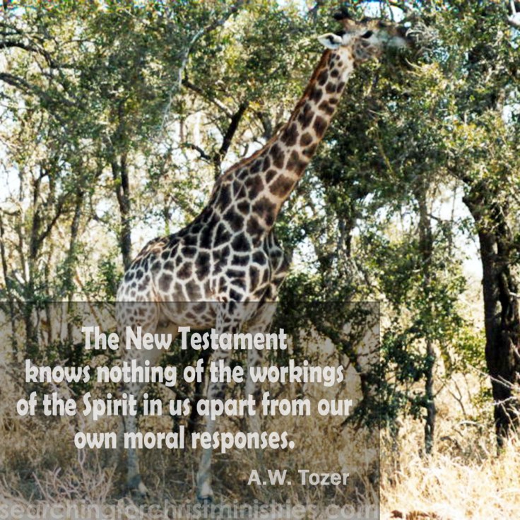 Nothing Of The Spirit Apart From