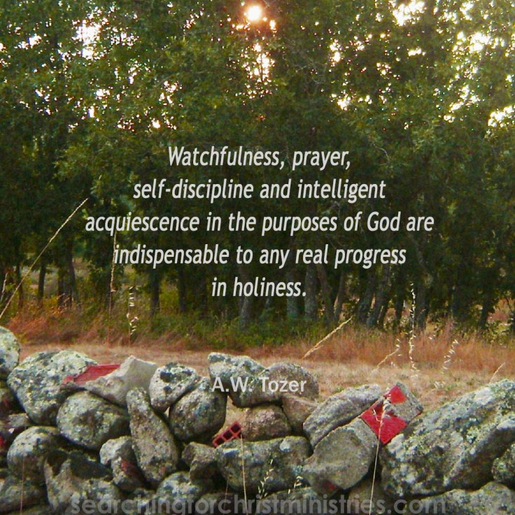 Watch For Progress In Holiness