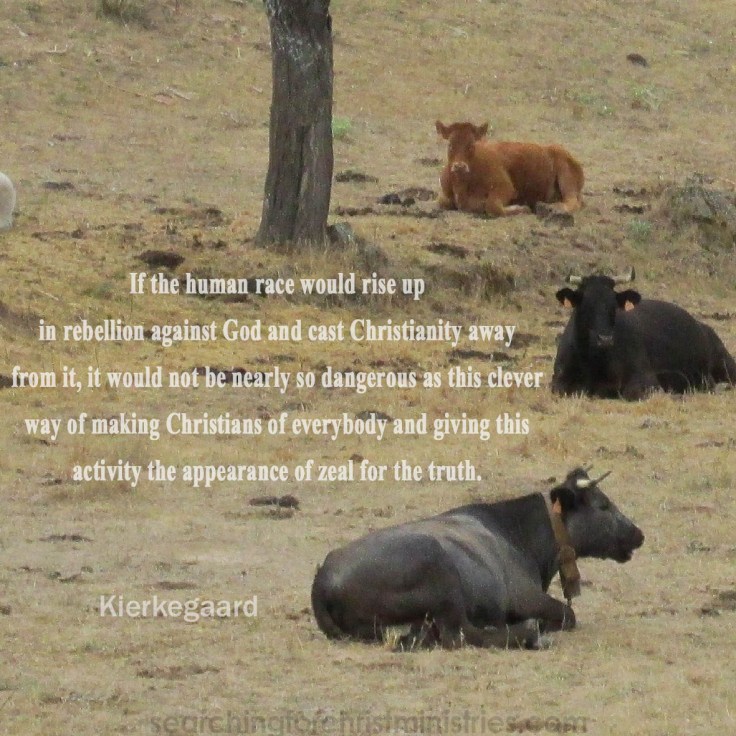 Not Nearly So Dangerous