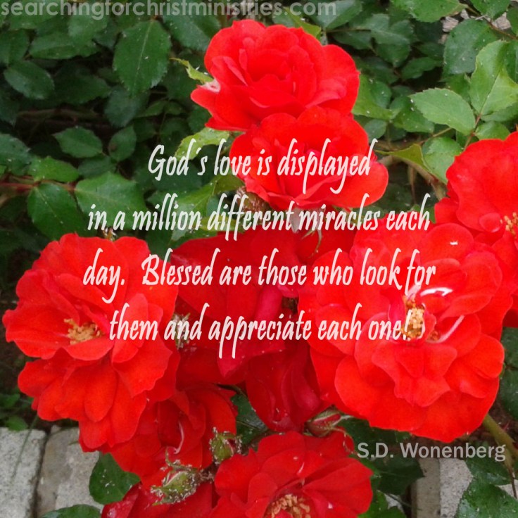 God´s Love Is Displayed