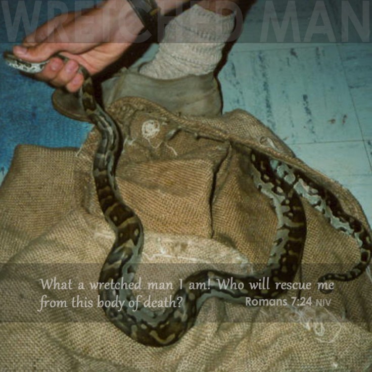 Wretched Man