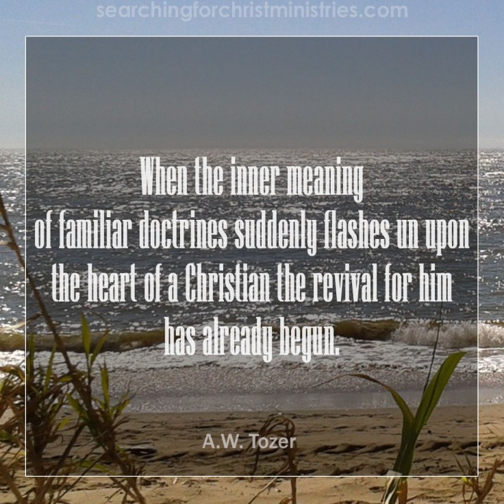 When The Meaning Flashes