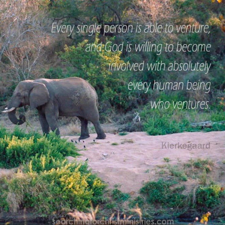 Everyone Who Ventures