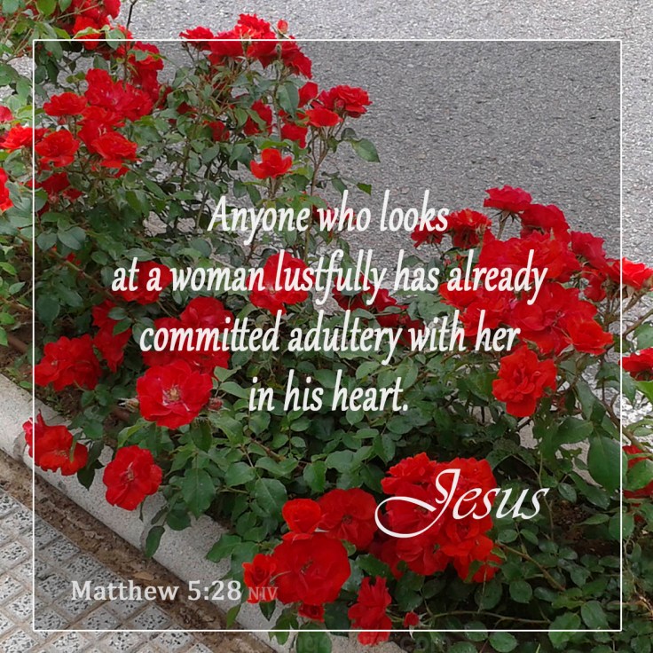Matthew 5:28