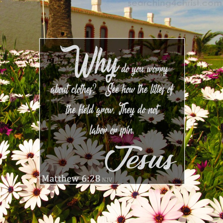 Matthew 6:28