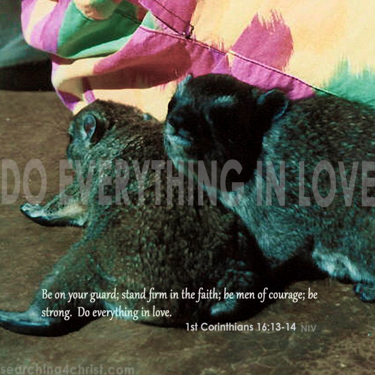 Do Everything in Love