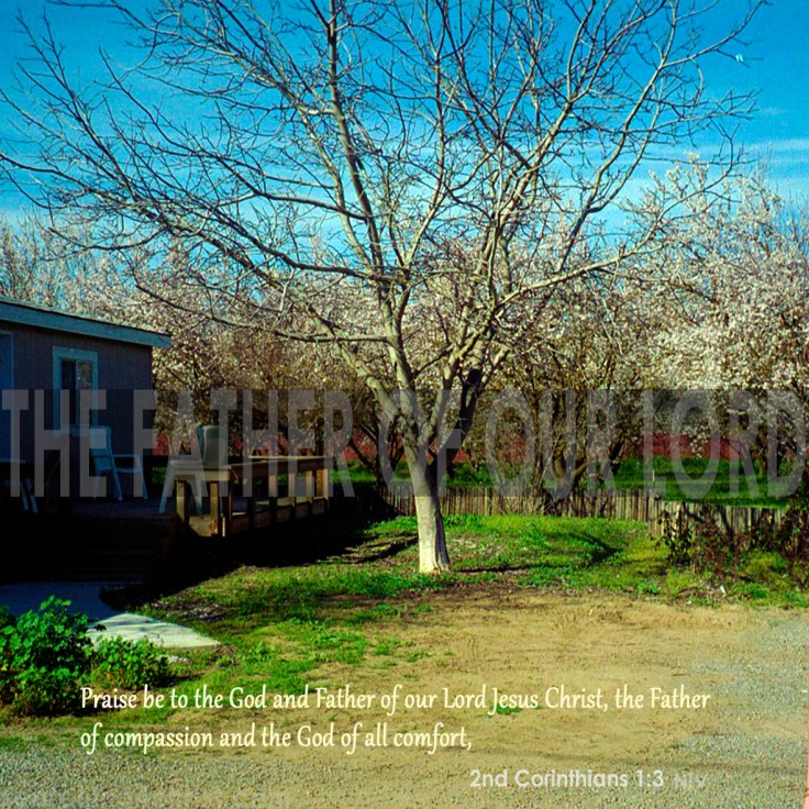 The Father of our Lord