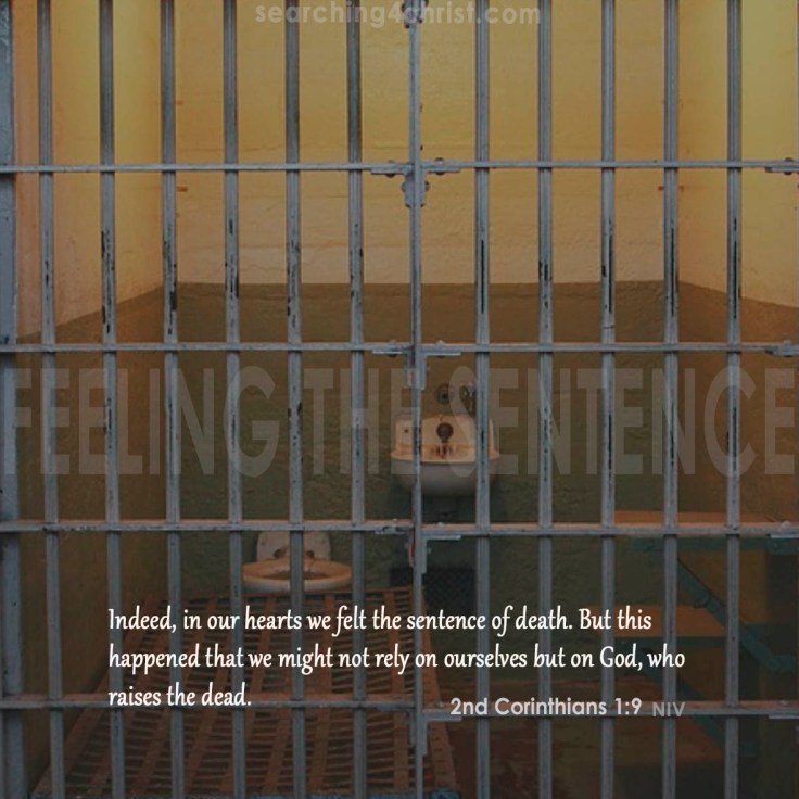 Feeling the Sentence