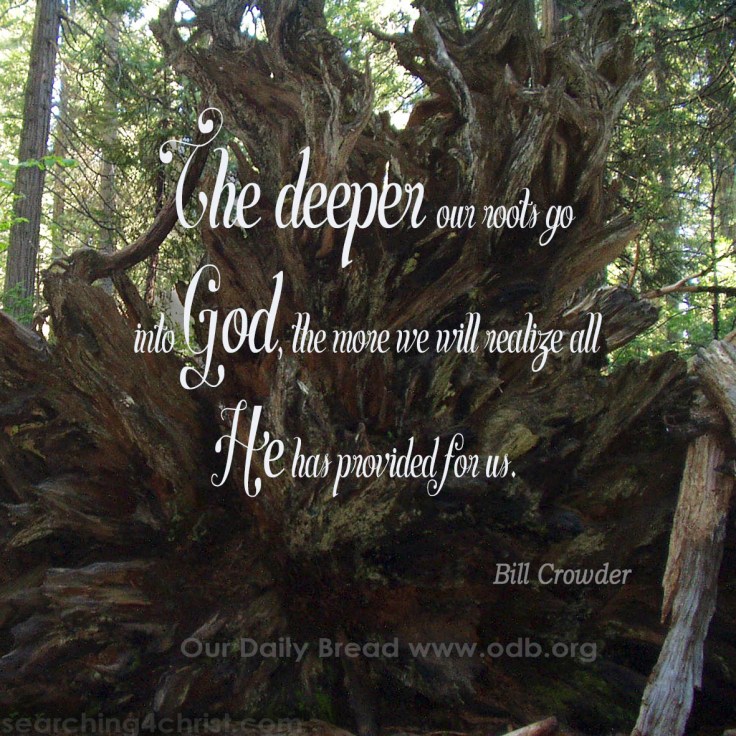 Deeper Roots in God