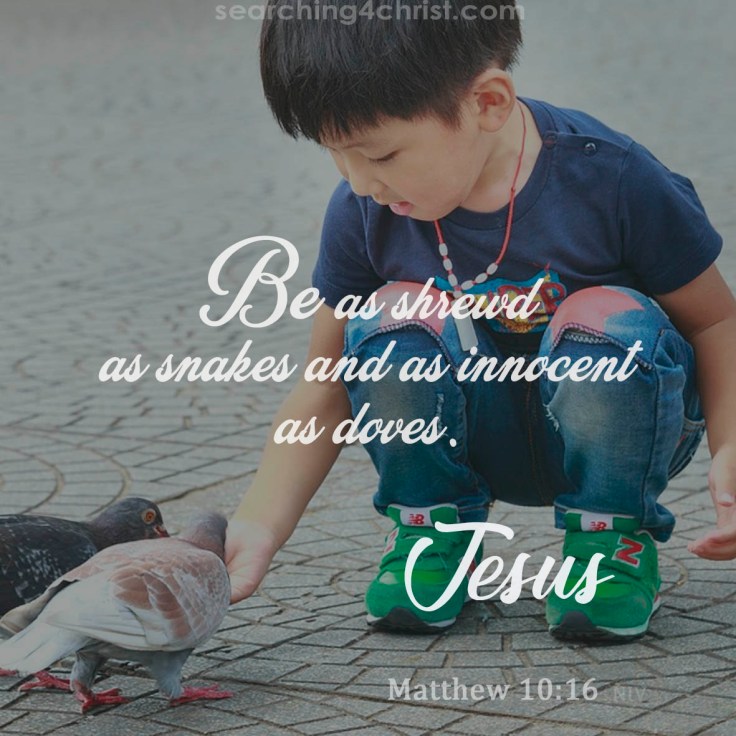 Matthew 10:16
