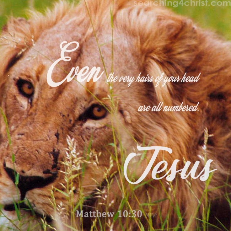 Matthew 10:30