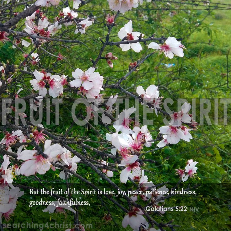 Fruit of the Spirit
