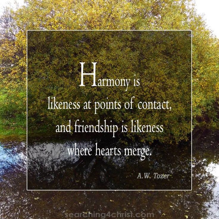 Harmony and Friendship