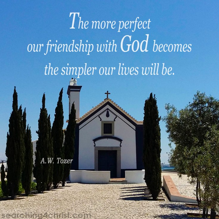 More Perfect Friendship