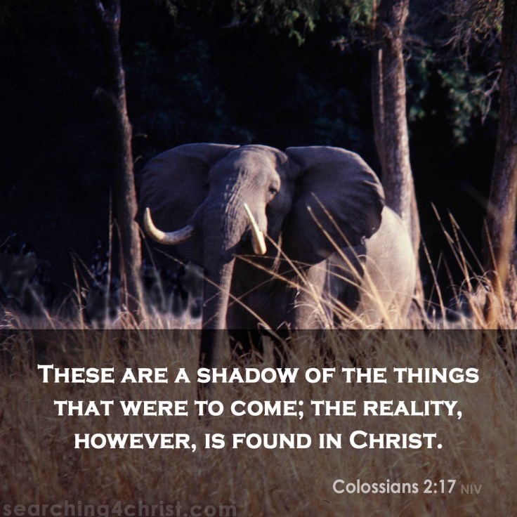 Colossians 2-17 Shadows of Reality