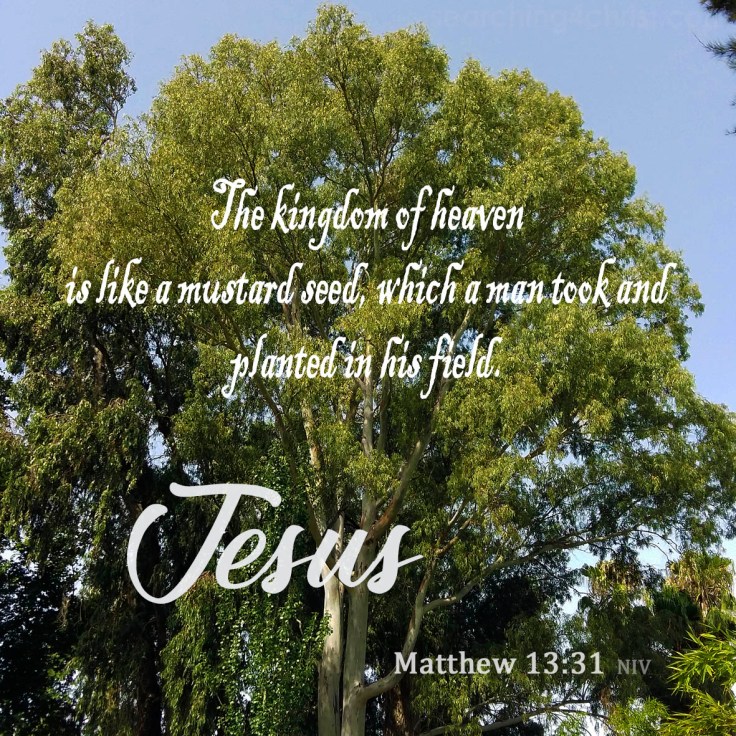 Matthew 13:31