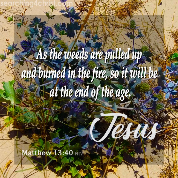 Matthew 13:40