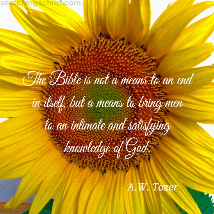 The Bible Is A Means