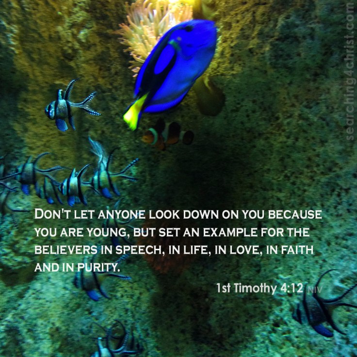 1st Timothy 4:12 Because You Are Young