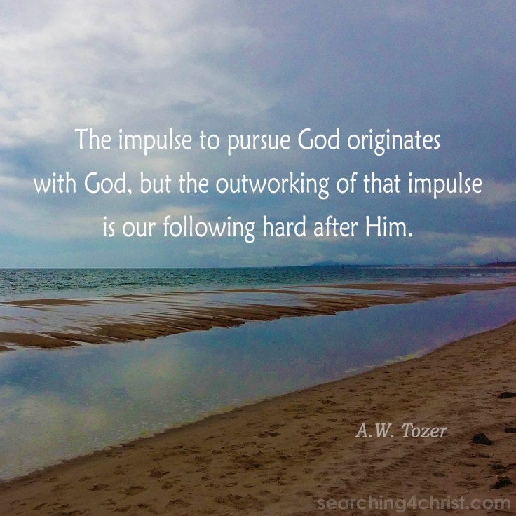 The Impulse to Pursue