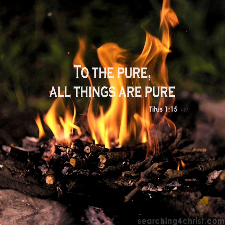 Titus 1:15 The Pure