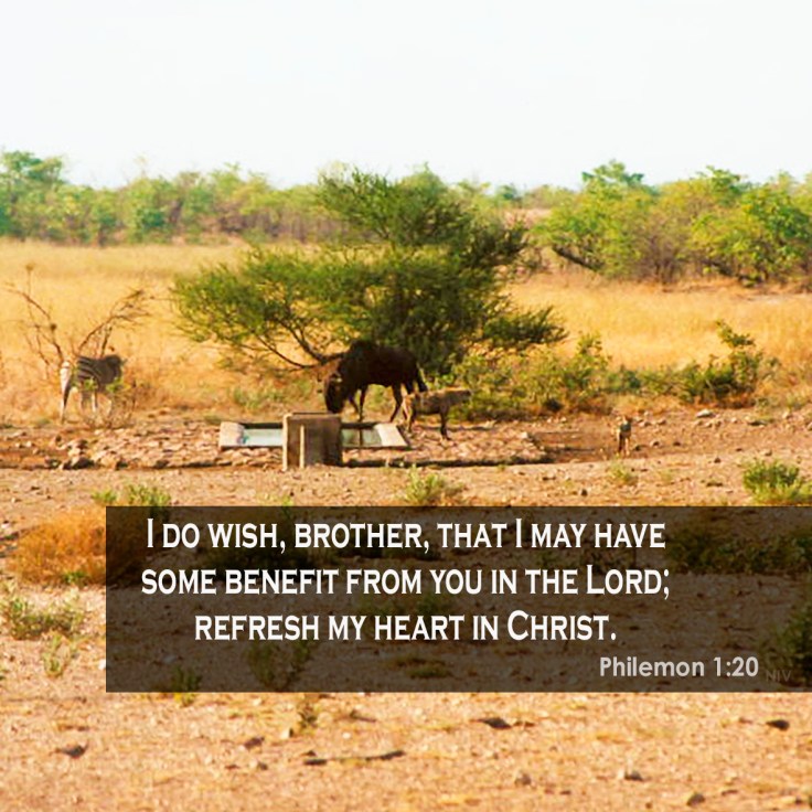 Philemon 1:20 Refreshed in Christ